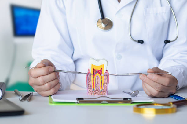Best Broken or Chipped Tooth Repair in Lovell, WY